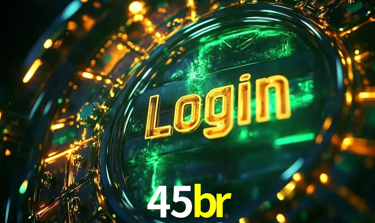 45br App Interface